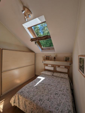 Apartment in the woods